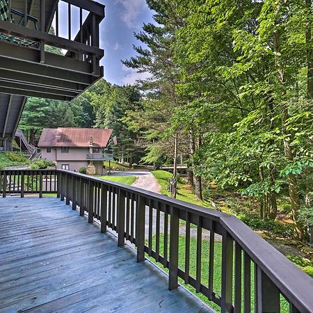 Roan Mountain Creekside Cabin Hike And Fish! Экстерьер фото