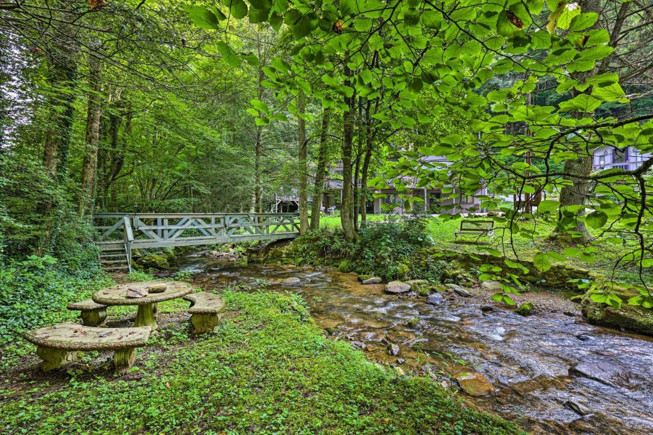 Roan Mountain Creekside Cabin Hike And Fish! Экстерьер фото