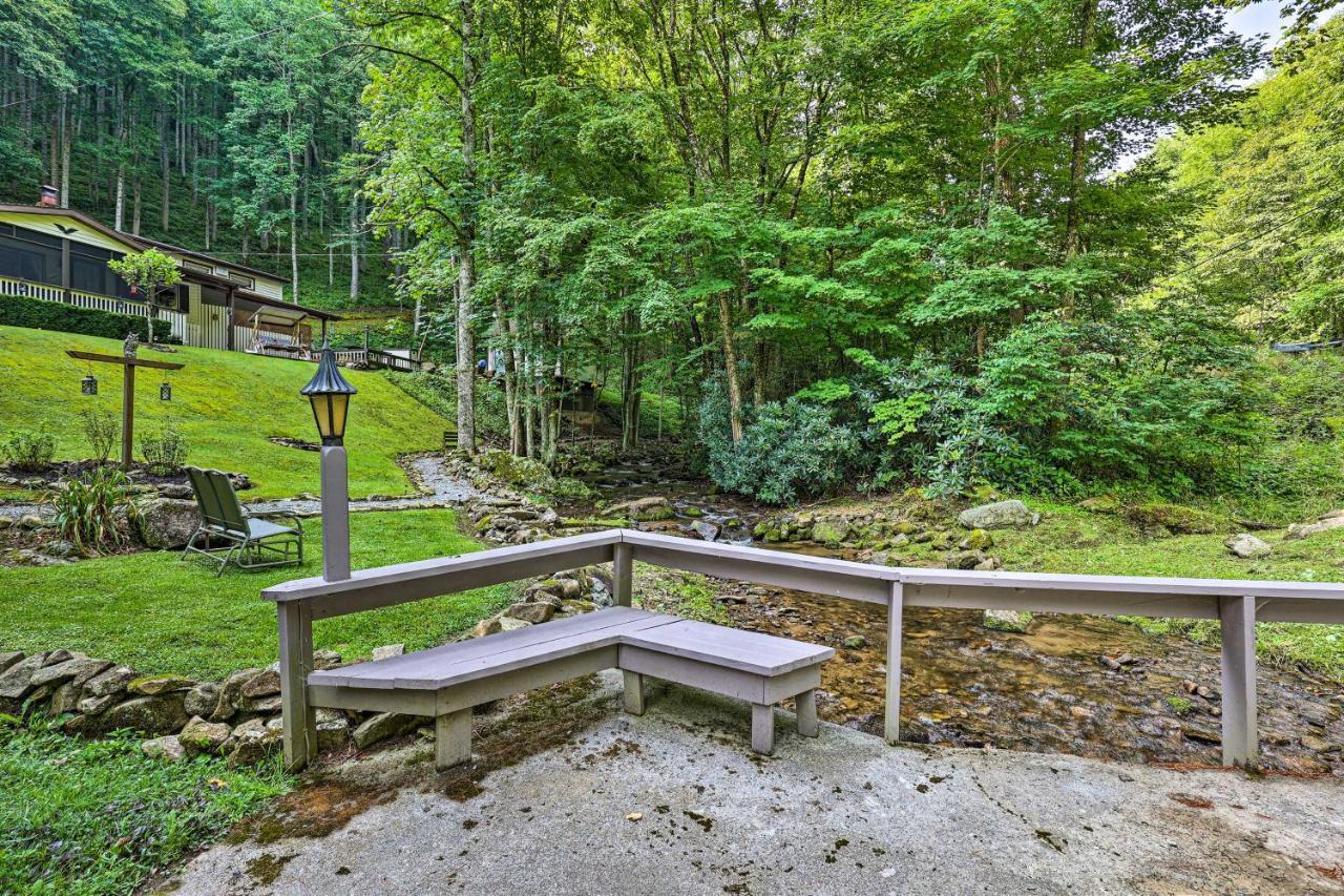 Roan Mountain Creekside Cabin Hike And Fish! Экстерьер фото