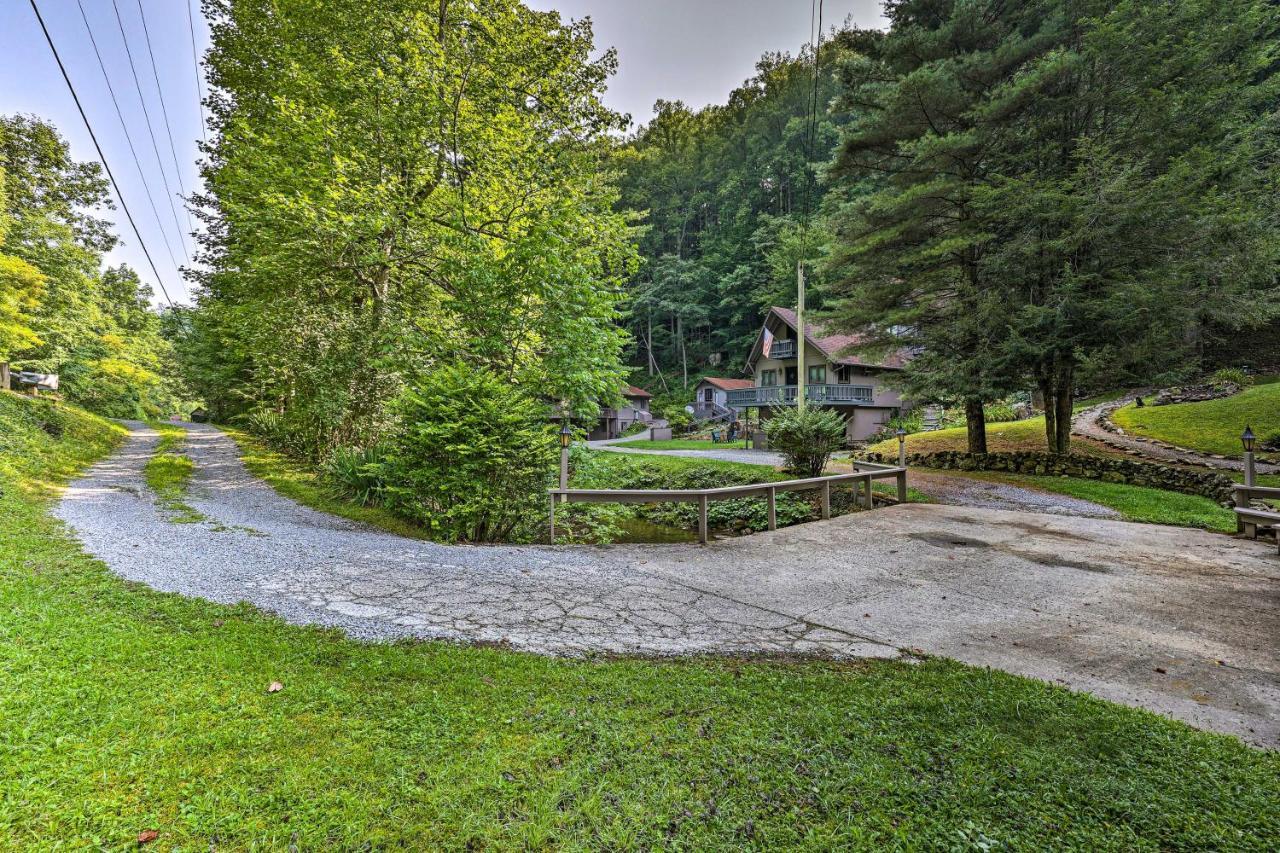Roan Mountain Creekside Cabin Hike And Fish! Экстерьер фото