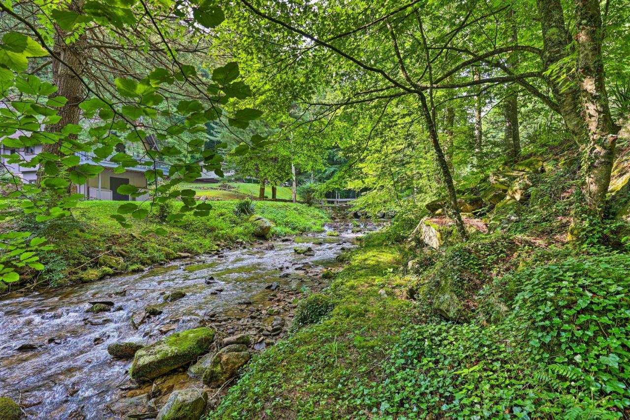 Roan Mountain Creekside Cabin Hike And Fish! Экстерьер фото