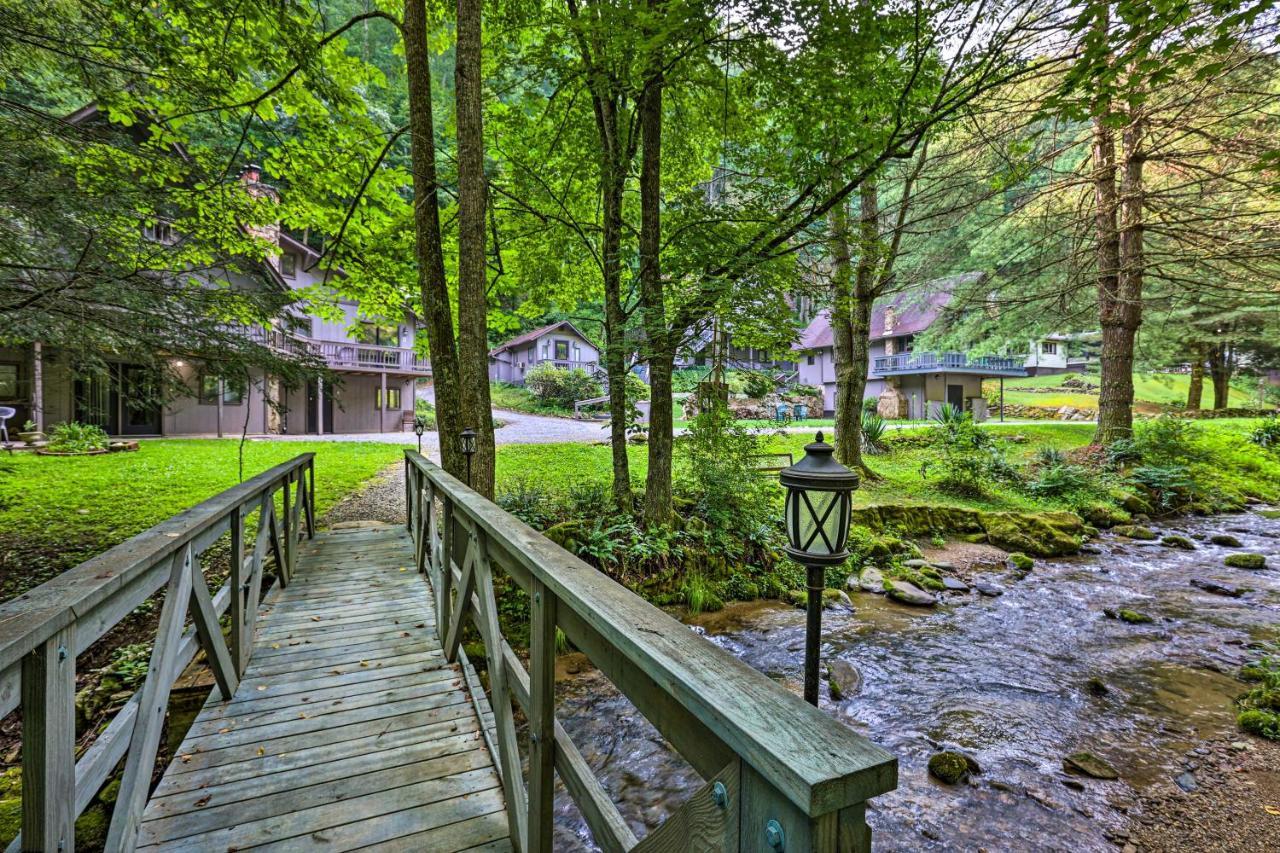 Roan Mountain Creekside Cabin Hike And Fish! Экстерьер фото